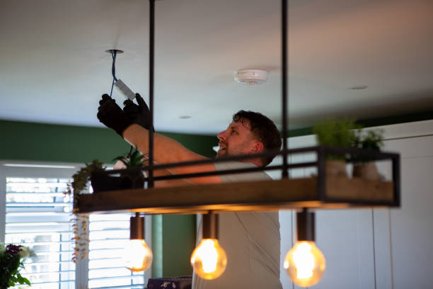 Best Licensed Electrician  in Hamburg, IA