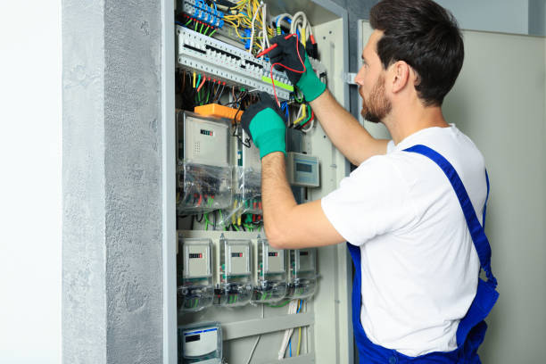 Best Licensed Electrician  in Hamburg, IA
