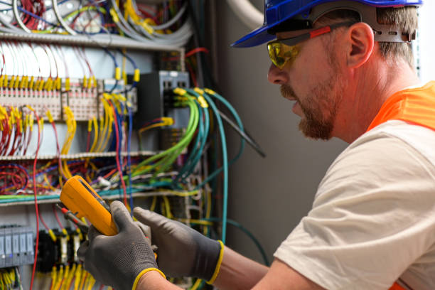 Best Electric Panel Repair  in Hamburg, IA