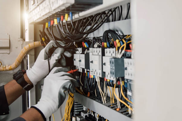Best Electrician for Home Renovation  in Hamburg, IA